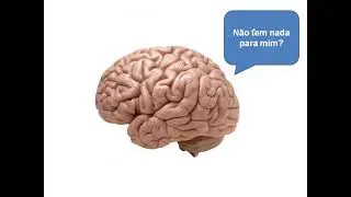 ACH5543 Aula14 - Regulação Hormonal e Integração do Metabolismo em Mamíferos - Parte 1