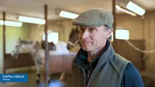 Skodde vs. uskodde hester - Professor Lars Roepstorff om forskningen