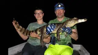 Friendly Crocodiles of Rio Parismina 2018