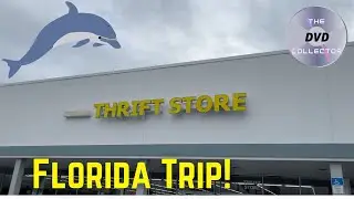 DVD Hunting in Florida! | Goodwill Movie Finds!