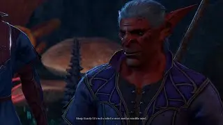 Druid talks to Blurg in the Myconid colony | Baldur's gate 3