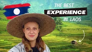 We tried RICE FARMING in Luang Prabang, Laos | Living Land Farm Experience 🇱🇦