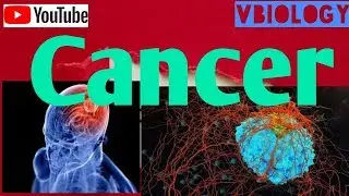 What is Cancer || Part-1 || XII ||NEET || AIIMS ||Vinay Biology ||