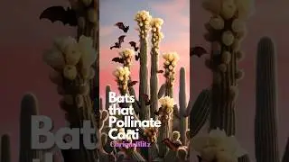 Bats That Keep Cacti Alive: Nature&rsquo;s Nighttime Pollinators! 🦇🌵