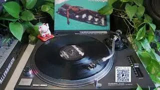 Dive - Boogie (Loop Da Loop Mix) [Nylon Records]