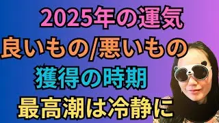 2025年の運気の良いものと悪いもの！紫微斗数で占った#32