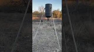 Deer feeder