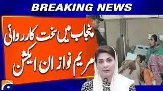 Punjab CM Acts: Pet Lions Banned, Strict Action Ordered in 8-Year-Old Wajid Case | Breaking News
