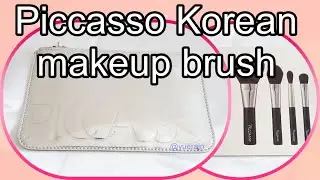 Piccasso Travel Mini Brush Set | Korean makeup