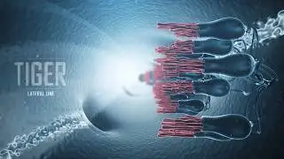 National Geographic. Shark vs Tuna 03