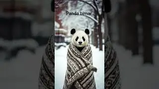 panda bimar hua🥹 #funny #reels #love #edms #comedy #electronicmusic #viralvideo # panda #animals