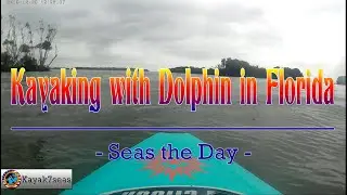 Kayaking with Dolphin in Florida