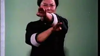 Wong Shun Leung (Wing Chun) The Science of In Fighting | HHSMA