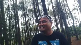 Pinnus Pengger || hutan pinus yang indah