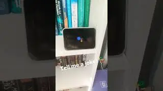Hey Google! Tell me a Joke 🦆