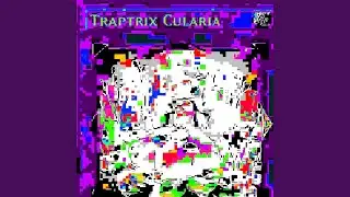 traptrix cularia