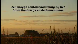 Ochtendlicht over het Groot Koninkrijk, Hoeksche Waard, Netherlands