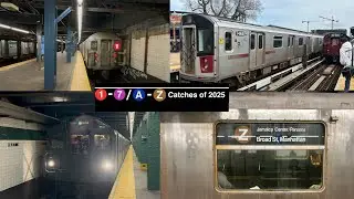 All Train route model catches (1-7) (A-Z) of 2025 + Ad wrap, Nostalgic run, 32s, reroutes and more