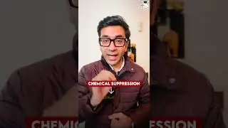 Can THIS Solution Really Save Us from Delhi Pollution? 😷 #shorts #news #delhipollution