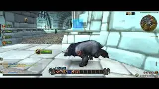 Dragonflight new talent system Feral Druid tank dmg 🐻 #Bearform ♒ #Catform 🐱🐈 #Stormwind 🏰 #Alliance