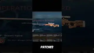 EVERYONE Missed This Investment in CSGO...