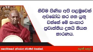 නිවීම පිණිස අපි පළමුවෙන් අවබෝධ කර ගත යුතු වන්නේ.296පූජ්‍ය තපෝවනයේ අරියධජ හිමි
