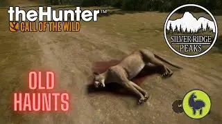 Old Haunts, Silver Ridge Peaks | theHunter: Call of the Wild (PS5 4K)