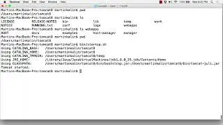Creating Your First Web Service - A Beginner's Guide  Publishing The Web Service   Part 1