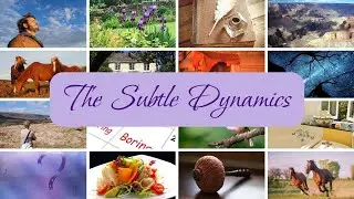 The Subtle Dynamics | Being at the Cottage