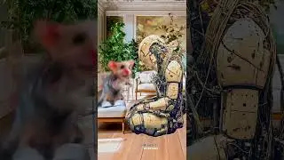 android pets #klingai #aiart #animation #surreal#generativeai #funnyshorts #digitalart #midjourney