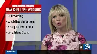 DPH gives raw shellfish warning