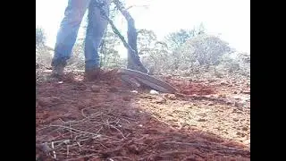 West Australian Gold Prospecting - Nov 2011 - Nugget Part 1 of 2