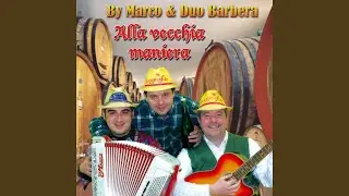 Suona la fisarmonica (feat. Duo Barbera)