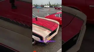 1969 Camaros at #DriveOPTIMA