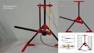 Antagonistic physical-virtual framework for the development of soft actuators
