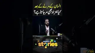 Does a Hamzad Die When a Person Dies? | Samaa Stories