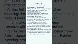 #SCROPHULARIA #shorts #homeopathy #education