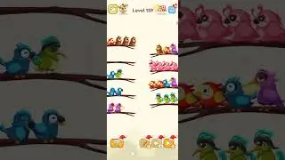 Birds sort color Level 139