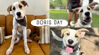 Let Doris Day dance her way into your heart