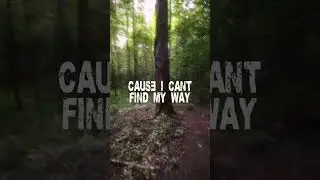 Them changes - thundercat lyric video