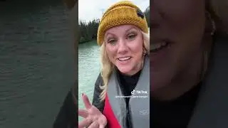 Chilkoot Lake bears, 2023