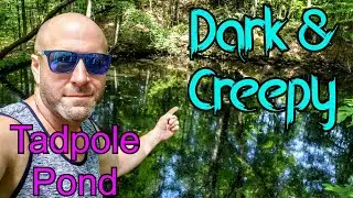 What Will I Find? Remote Pond in the Woods (Tadpole Pond)