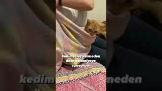 Kediye Nasıl İla&ccedil; İ&ccedil;irilir 🐱🐾😺