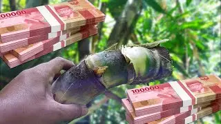 bambu petuk songgo langit asli isinya di luar dugaan