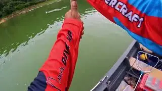 Temenggor Royal Belum Snakehead Toman Sebarau Hampala Barb Malaysia Fishing Trip (November 2025)