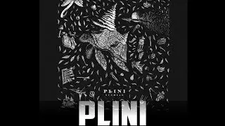 Plini Sunhead