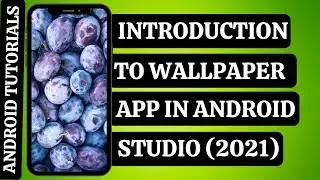 Introduction to Wallpaper App in Android Studio Using Pixabay API | Android Tutorials