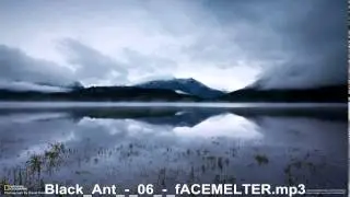 Black Ant fACEMELTER