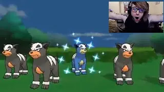 Shiny 5% Houndour Horde! #shorts