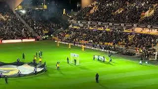 Wolves V Forest | Light Show